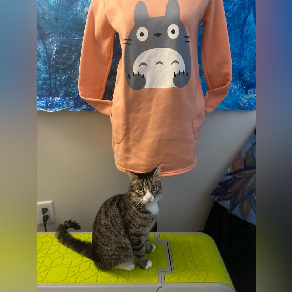 Totoro coral pink/orangey sweater dress XS